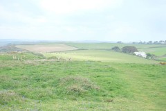 DSCF6532
