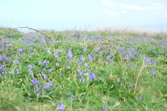 DSCF6539